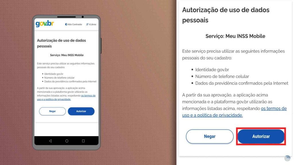 autorizando uso de dados MEU INSS